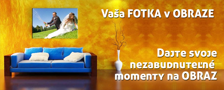 fotka_obraz.png
