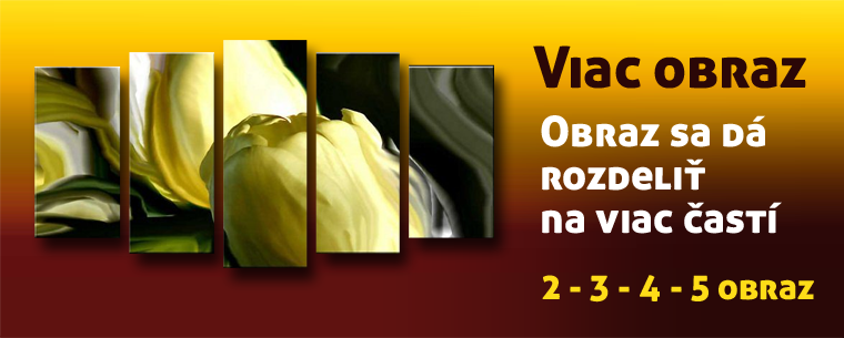 viac_obraz.png