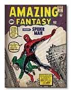 Spider-Man (Issue 1) - Obraz WDC90352