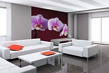 Dekoračné tapety Kvety - Ružová orchidea 18533 - vinylová