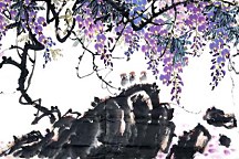 Fototapeta Rozkvitnutý strom 3279 - samolepiaca na stenu