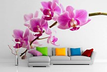 Fototapeta Ružová orchidea 99 - samolepiaca na stenu