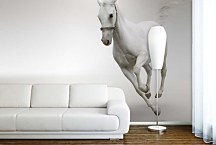 Fototapeta Zvietatá - Biely kôň 132 - vliesová
