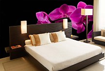 Fototapeta do spálne Ružová orchidea 18499 - vliesová