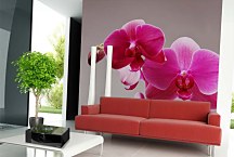 Tapety vliesové Ružová orchidea 3146 - vliesová