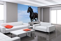 Fototapety Zvieratá - Čierny kôň 118 - samolepiaca na stenu