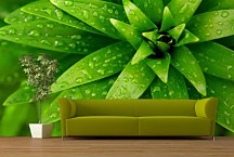 Tapeta do obývačky Zelený kvet 18497 - samolepiaca na stenu