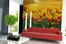 Tapety Kvety - Tulipány 98 - samolepiaca na stenu