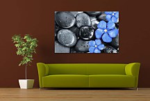 Obraz Flower Oleander and black pebbles zs24837