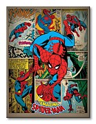 Spider-Man (Retro) - Obraz WDC90819