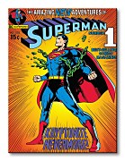 Superman (Krytonite) - Obraz WDC92194