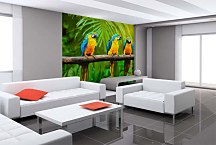 Tapeta Papagáje v pralese 29199 - samolepiaca na stenu