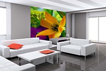 Tapety Kvety 24405 - samolepiaca na stenu