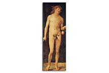 Albrecht Dürer Obraz - Adam zs16512
