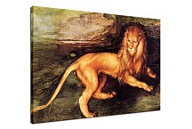 Lion Obraz zs16549