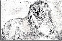 Lion 2 Obraz zs16550