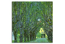 Reprodukcie Gustav Klimt - Avenue of Schloss Kammer Park zs16748