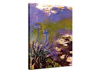 Agapanthus Reprodukcia Claude Monet zs17707