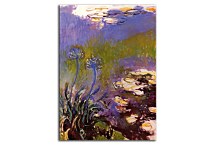 Agapanthus Reprodukcia Claude Monet zs17707