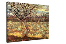 Reprodukcie Vincent van Gogh - Apricot Trees in Blossom zs18376