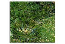 Vincent van Gogh Obraz - Clumps of Grass zs18383