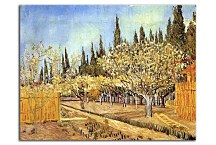 Orchard in Blossom, Bordered by Cypresses 2 zs18419 - Vincent van Gogh obraz