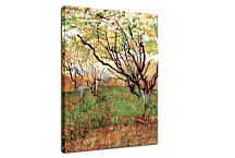  Vincent van Gogh obraz - Orchard in Blossom zs18422
