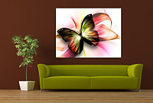 Obraz na stenu s motýľom zs24222