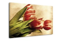 Tulipány Obrazy zs269