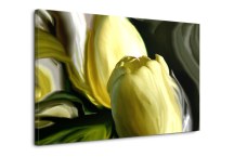 Obraz - Žlté tulipány zs94