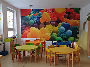 fototapeta vinylová, 450x250cm