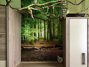 samolepiaca tapeta na stenu Jungle, 97x150cm