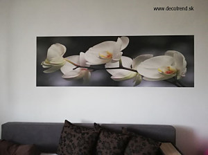 stena v obývačke - tapeta orchidea
