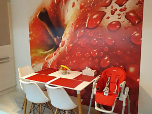 tapeta latexová, rozmer 240x240cm ,kód  363