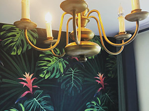 tapeta na stene v interiéri tropický motív monstera palma
