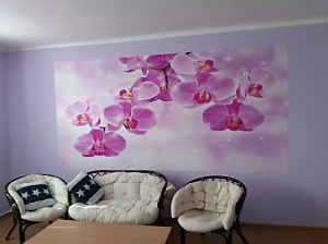 Tapeta s orchideou rozjasnila interiér