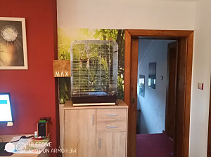 latexová tapeta bambus , rozmer 86x100cm, kód 29127