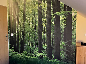 vliesová tapeta les, rozmer 220x265cm, kód 10109