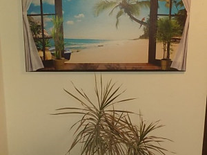 obraz v interiéri - výhľad na more, kód zs1047