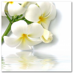 Obraz na stenu ZS - pomer 1:1