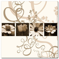 Obraz na stenu ZS - pomer 1:1