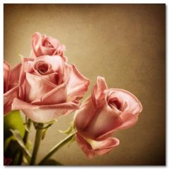 Obraz na stenu ZS - pomer 1:1