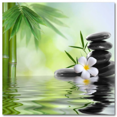 Obraz na stenu ZS - pomer 1:1