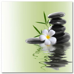 Obraz na stenu ZS - pomer 1:1