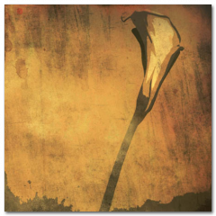 Obraz na stenu ZS - pomer 1:1