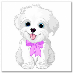 Obraz na stenu ZS - pomer 1:1