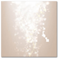 Obraz na stenu ZS - pomer 1:1