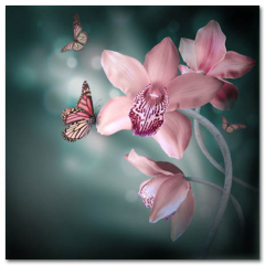 Obraz na stenu ZS - pomer 1:1