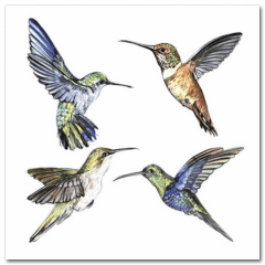 Obraz na stenu ZS - pomer 1:1