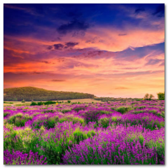 Obraz na stenu ZS - pomer 1:1